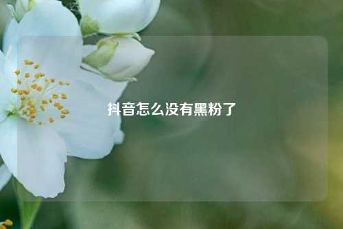 抖音怎么没有黑粉了