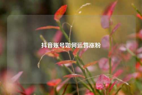 抖音账号如何运营涨粉