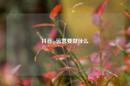 抖音ip运营要做什么