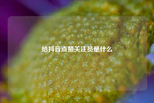 给抖音点赞关注员是什么