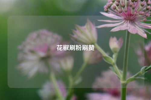 花椒刷粉刷赞