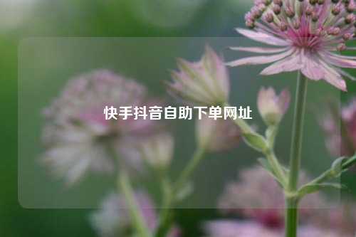 快手抖音自助下单网址
