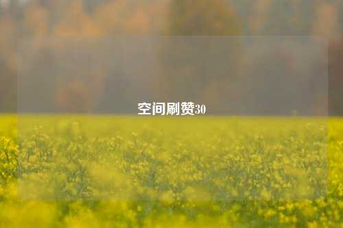 空间刷赞30