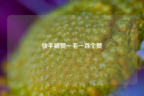 快手刷赞一毛一百个赞