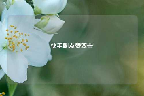 快手刷点赞双击