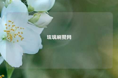 琉璃刷赞网