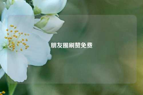 朋友圈刷赞免费