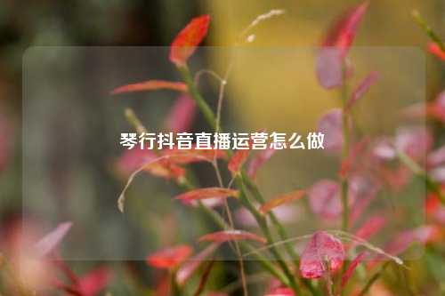 琴行抖音直播运营怎么做