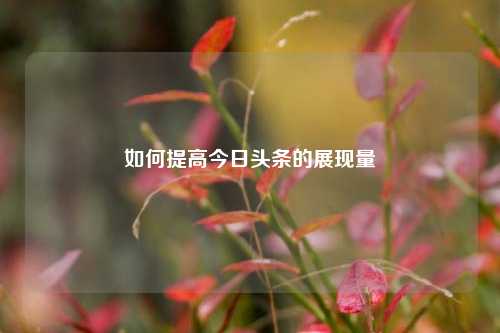 如何提高今日头条的展现量