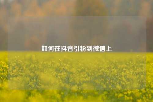 如何在抖音引粉到微信上