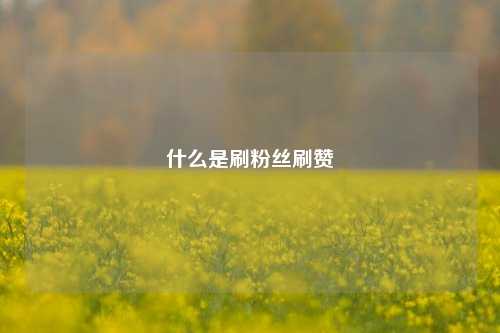 什么是刷粉丝刷赞