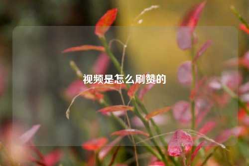 视频是怎么刷赞的