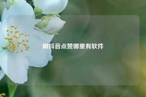 刷抖音点赞哪里有软件