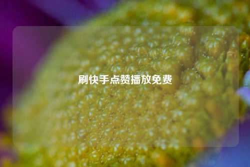 刷快手点赞播放免费