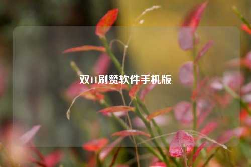 双11刷赞软件手机版