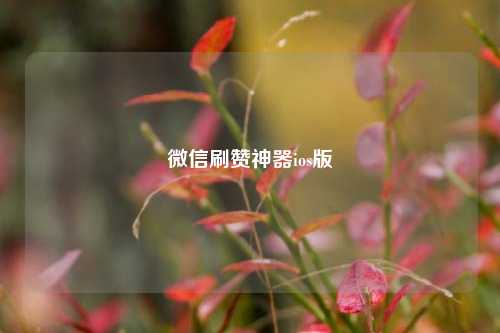 微信刷赞神器ios版